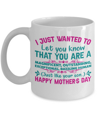 Load image into Gallery viewer, You Are a Magnificent Human Just Like Your Son Coffee Mug - 11 Oz

