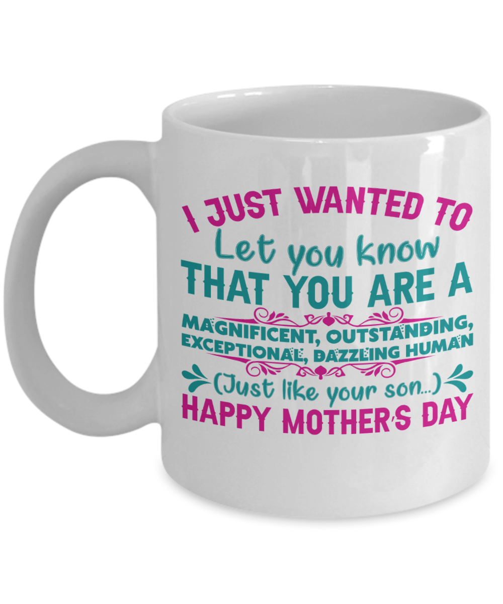 You Are a Magnificent Human Just Like Your Son Coffee Mug - 11 Oz